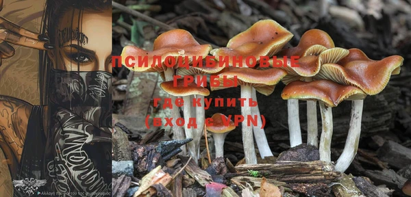 шишки Алексеевка