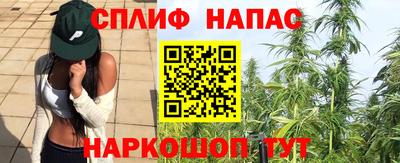 меф Краснознаменск