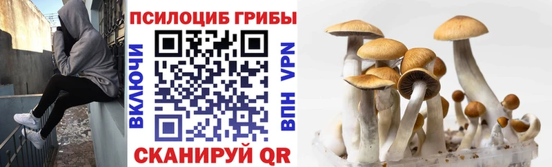 хочу   Конаково  Псилоцибиновые грибы ЛСД 