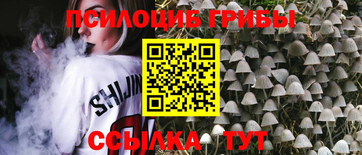 Галлюциногенные грибы GOLDEN TEACHER Конаково