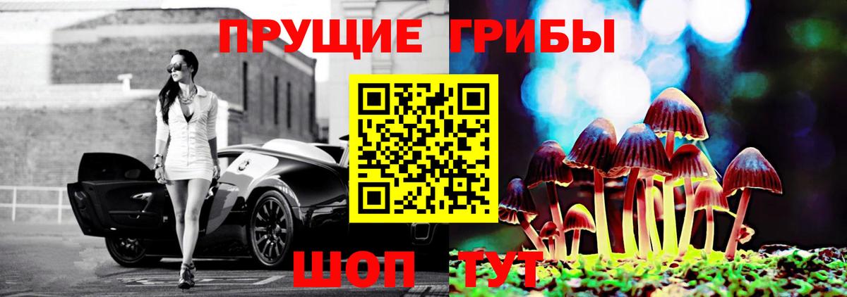 купить наркоту  Псилоцибиновые грибы MAGIC MUSHROOMS  Конаково  Вход с VPN  Псилоцибиновые грибы Cubensis 